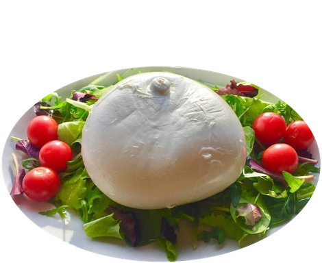 Zizzona di Bufala